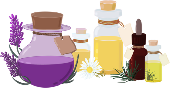 Essential Oils in Glass Bottles